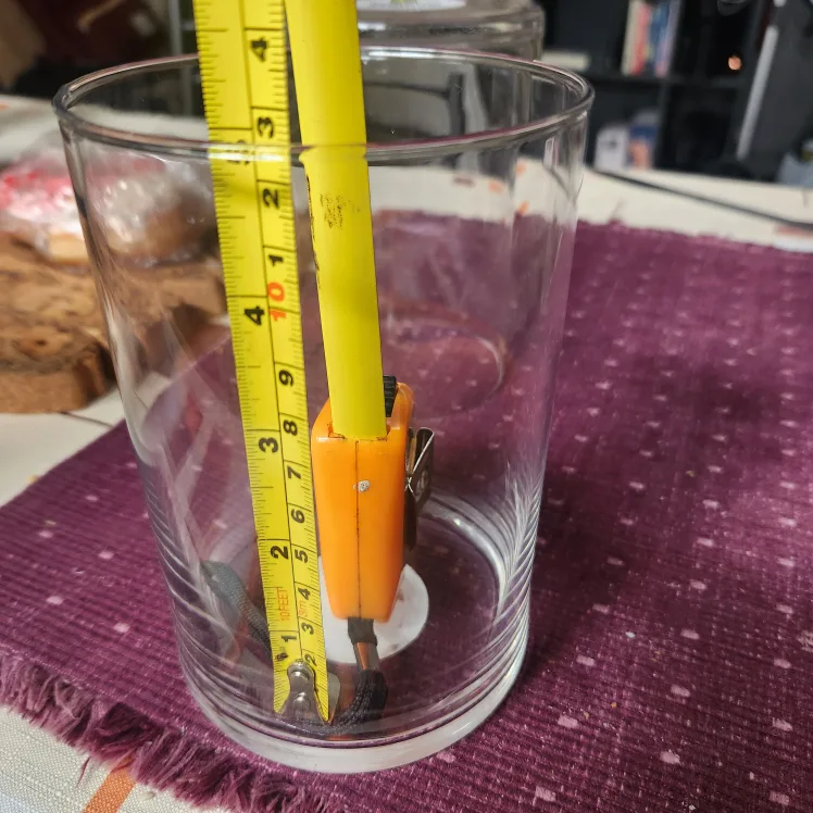 Pair of Dollar Store Glass Tumblers image indicator(4)