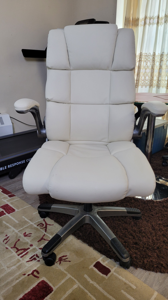 Off-White Executive Office Chair