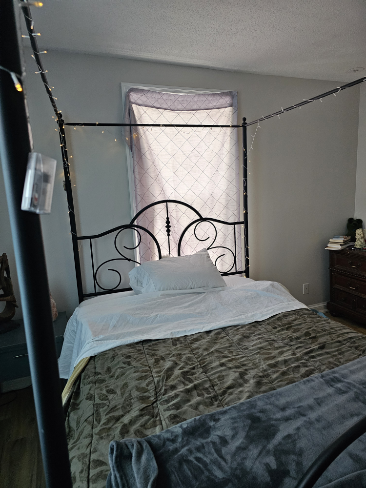 Black Metal Queen Size Poster Bed Frame 🏈 - photo 3