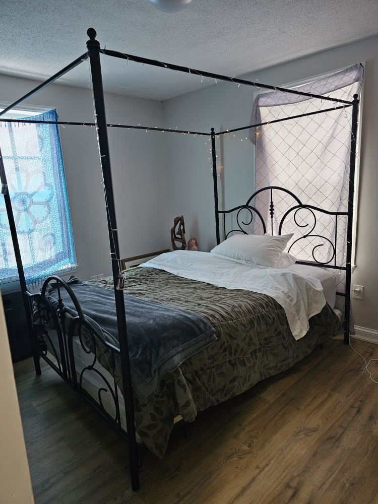 Black Metal Queen Size Poster Bed Frame 🏈