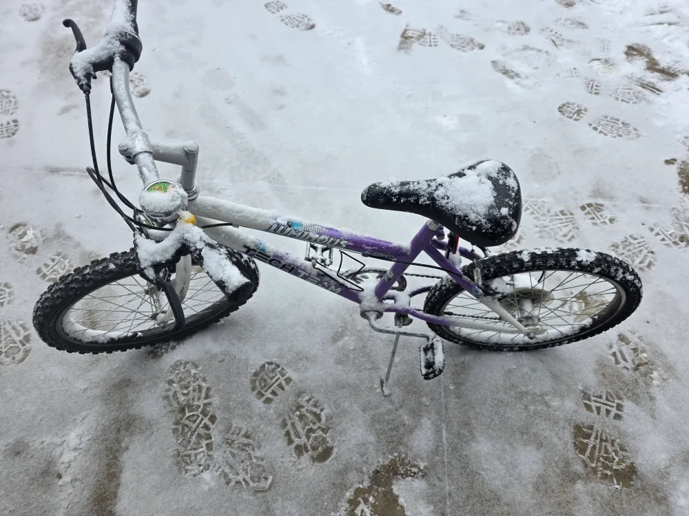 Tech Team Luminous Girls' Bike image indicator(4)