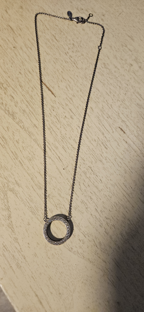 Pandora Circle Necklace
