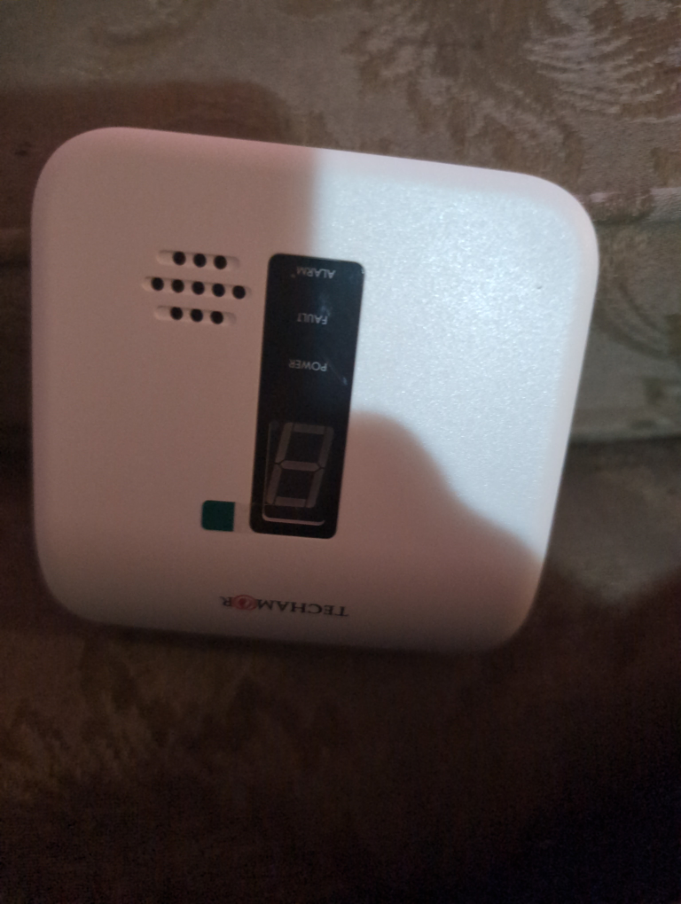 Techmaker Carbon Monoxide Alarm Detector
