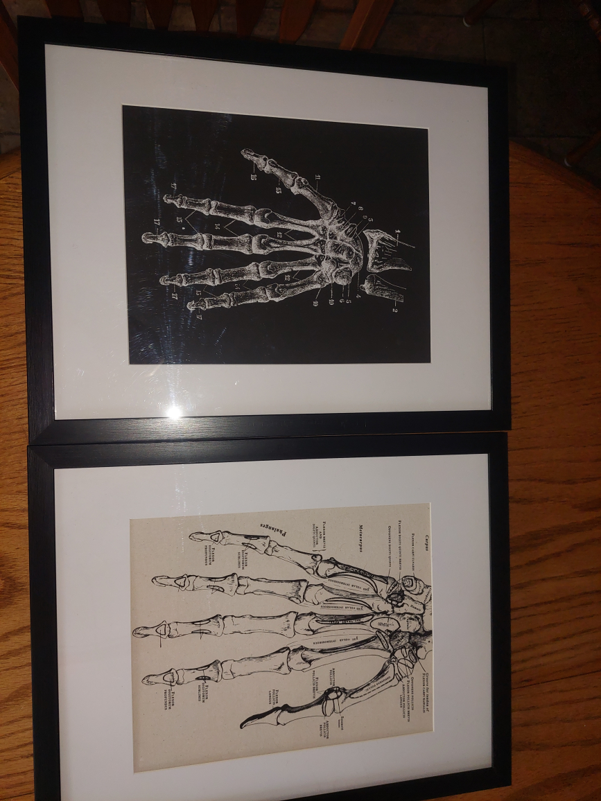 Your choice of TWO framed canvas prints