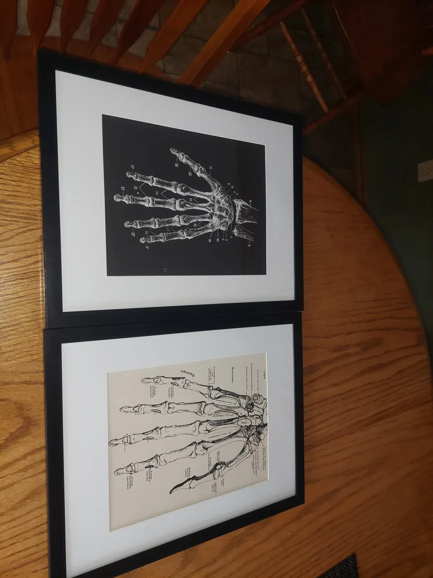 Your choice of TWO framed canvas prints image indicator(5)