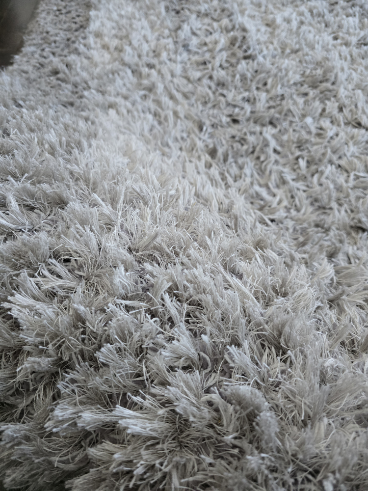 Shaggy Grey Carpet