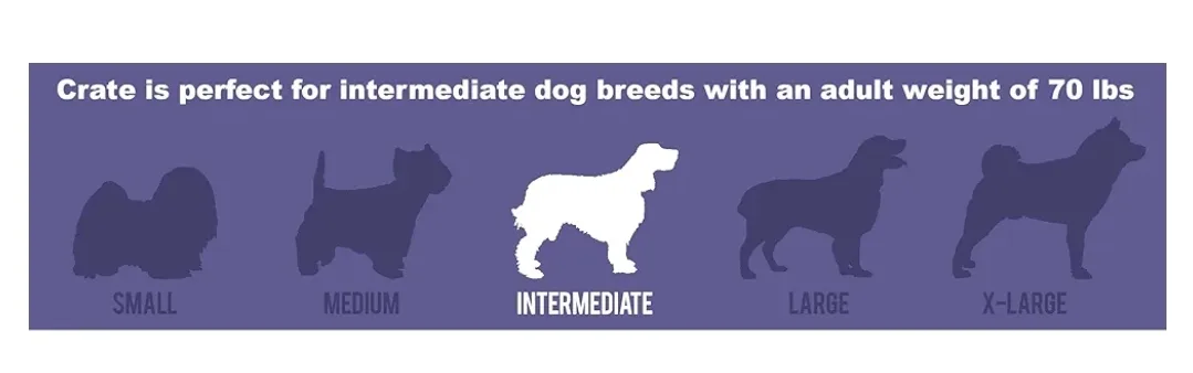 23" x 36" x 25" Collapsible Wire Dog Crate with Cover image indicator(2)