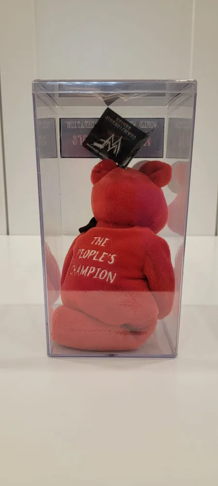 WWF Attitude Bears The Rock Collectible Bear image indicator(4)