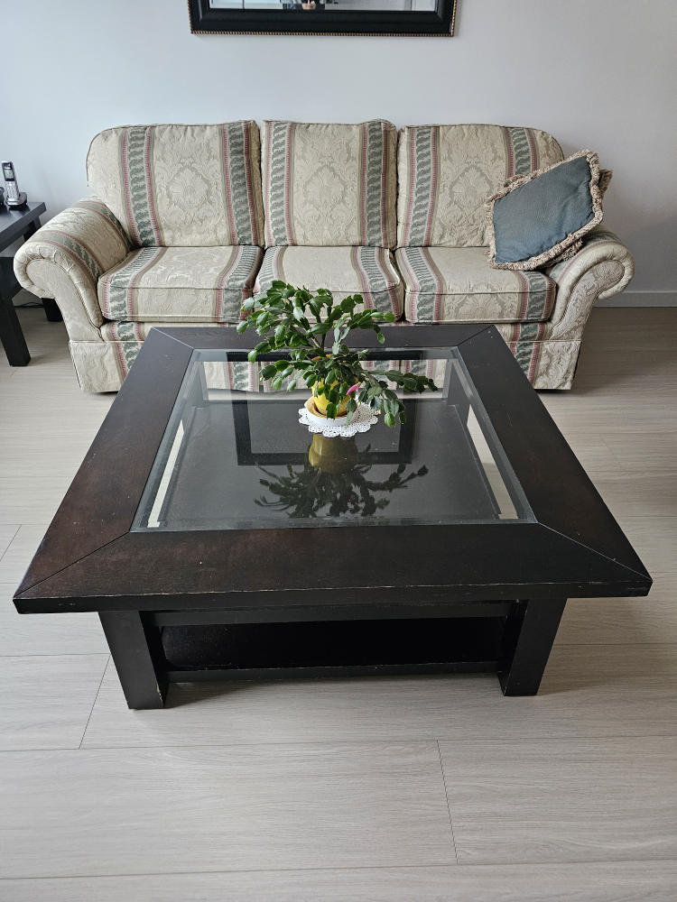 free sofa set - photo 2