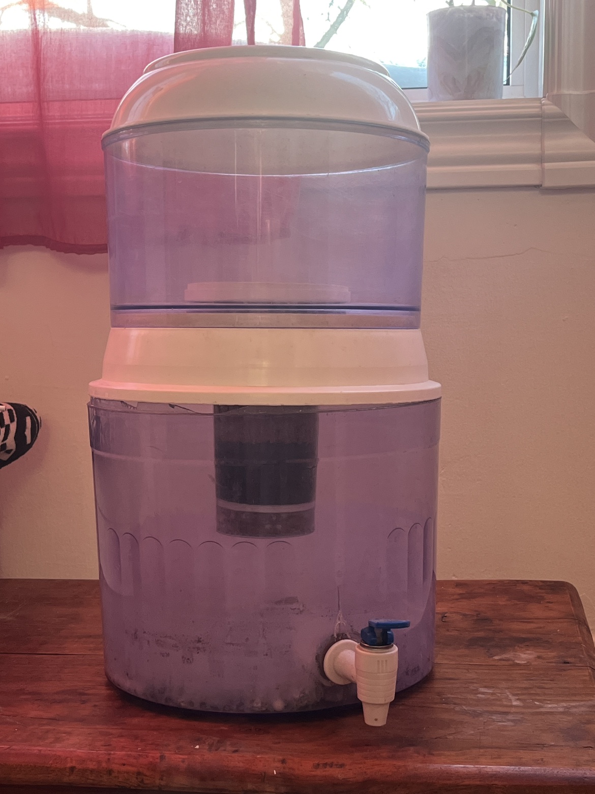 Santevia Water Filter - photo 2
