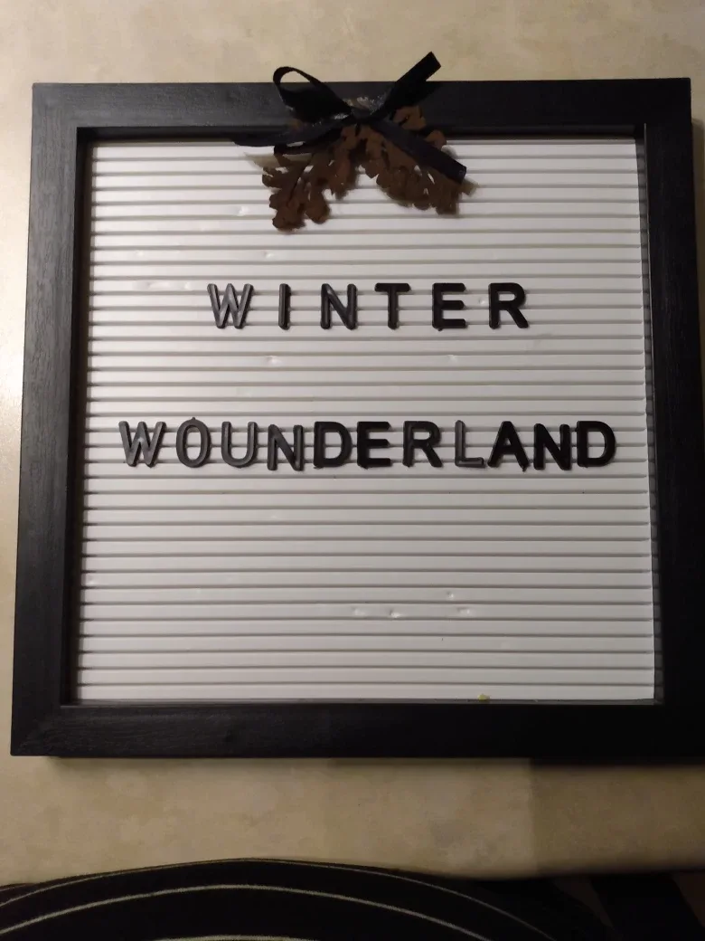 Black Letter Board Spring into Summer Decor/letters included 🌿🌼 image indicator(2)