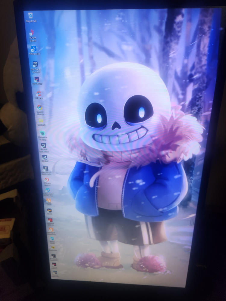 24 inch ASUS Computer Monitor
