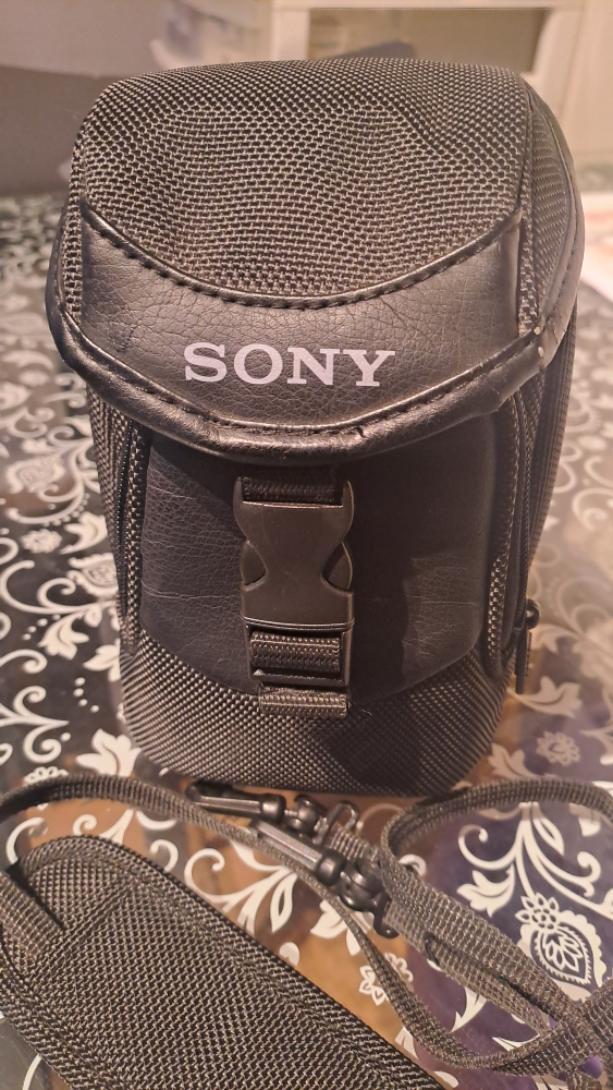 Sony Carrying Case