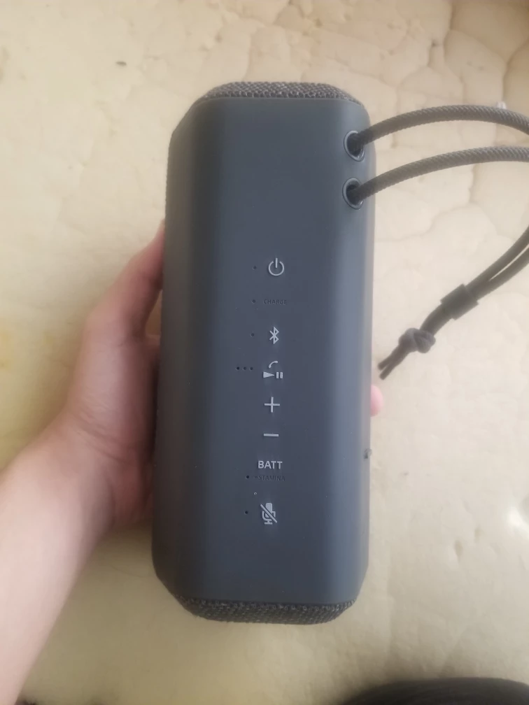 Sony Portable Bluetooth Speaker - photo 3