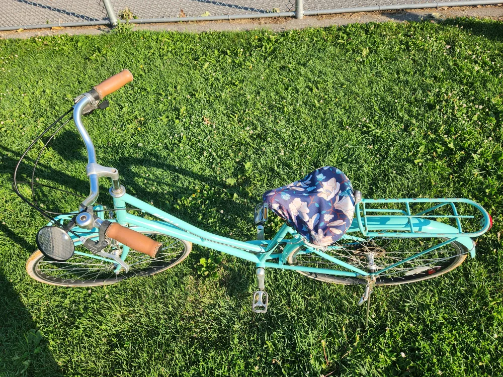 Biria city Bicycle with accesories price firm image indicator(3)