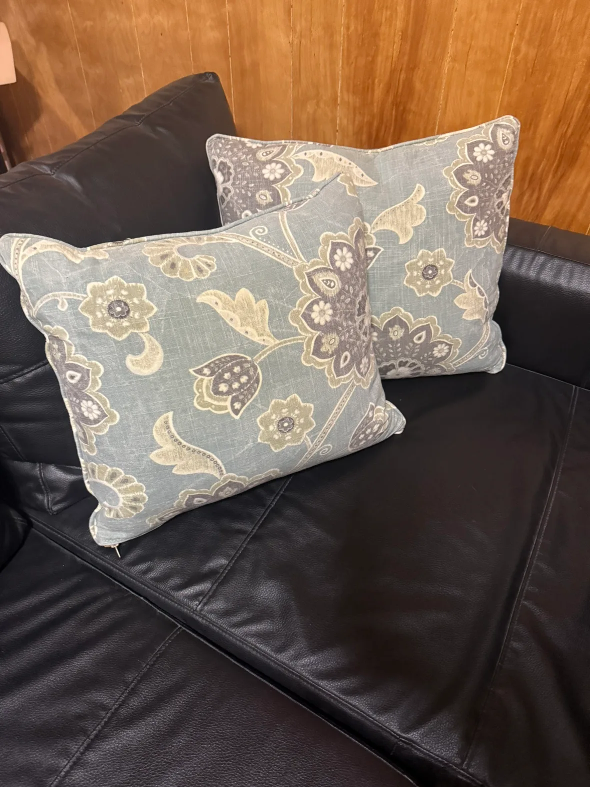 Pair of Decorative Throw Pillows image indicator(3)