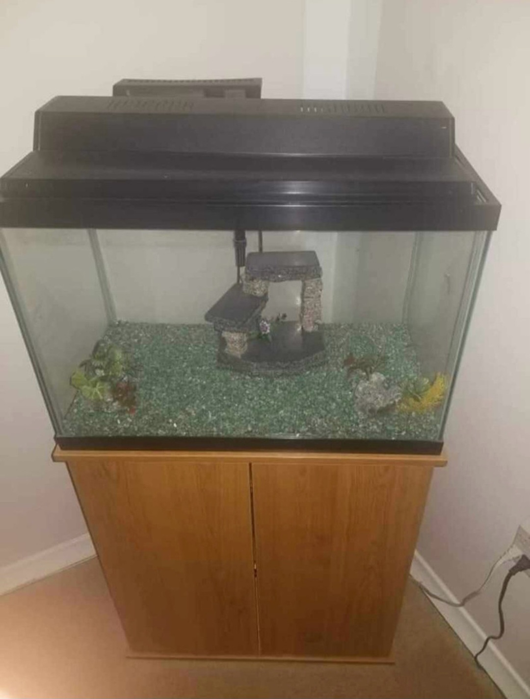 Fish Tank with Stand and Decorations