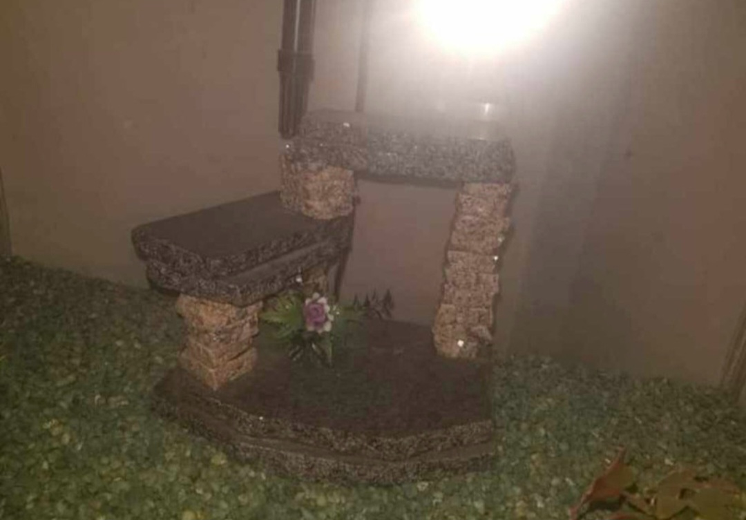 Fish Tank with Stand and Decorations - photo 4