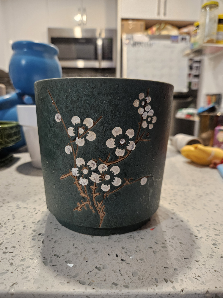 Dark Green Planter with White Flowers
