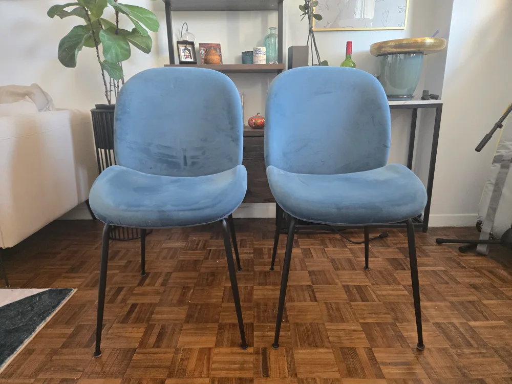 Pair of Blue Velvet Dining Chairs with Black Legs thumbnail