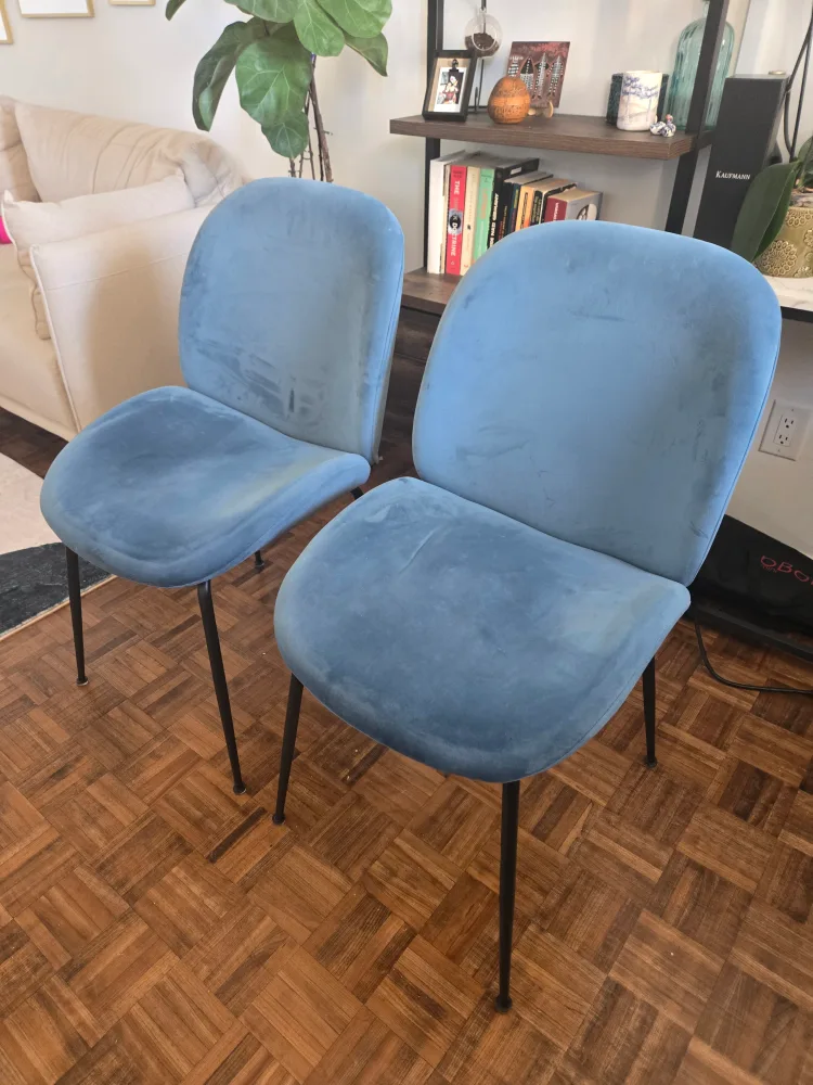 Pair of Blue Velvet Dining Chairs with Black Legs image indicator(2)