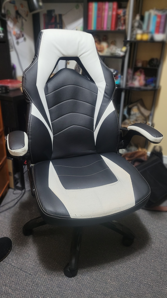 Gaming Chair - Black and White