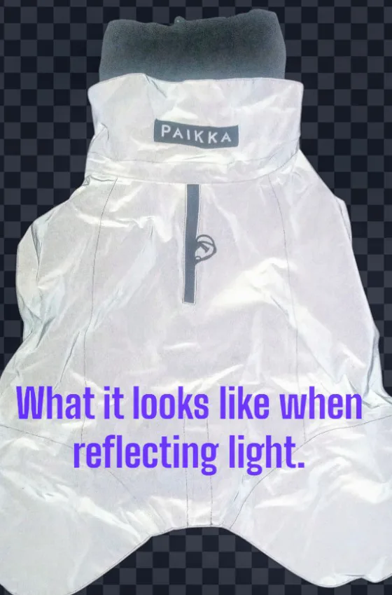 Paikka Dog Coat  - Windproof & Waterproof image indicator(5)