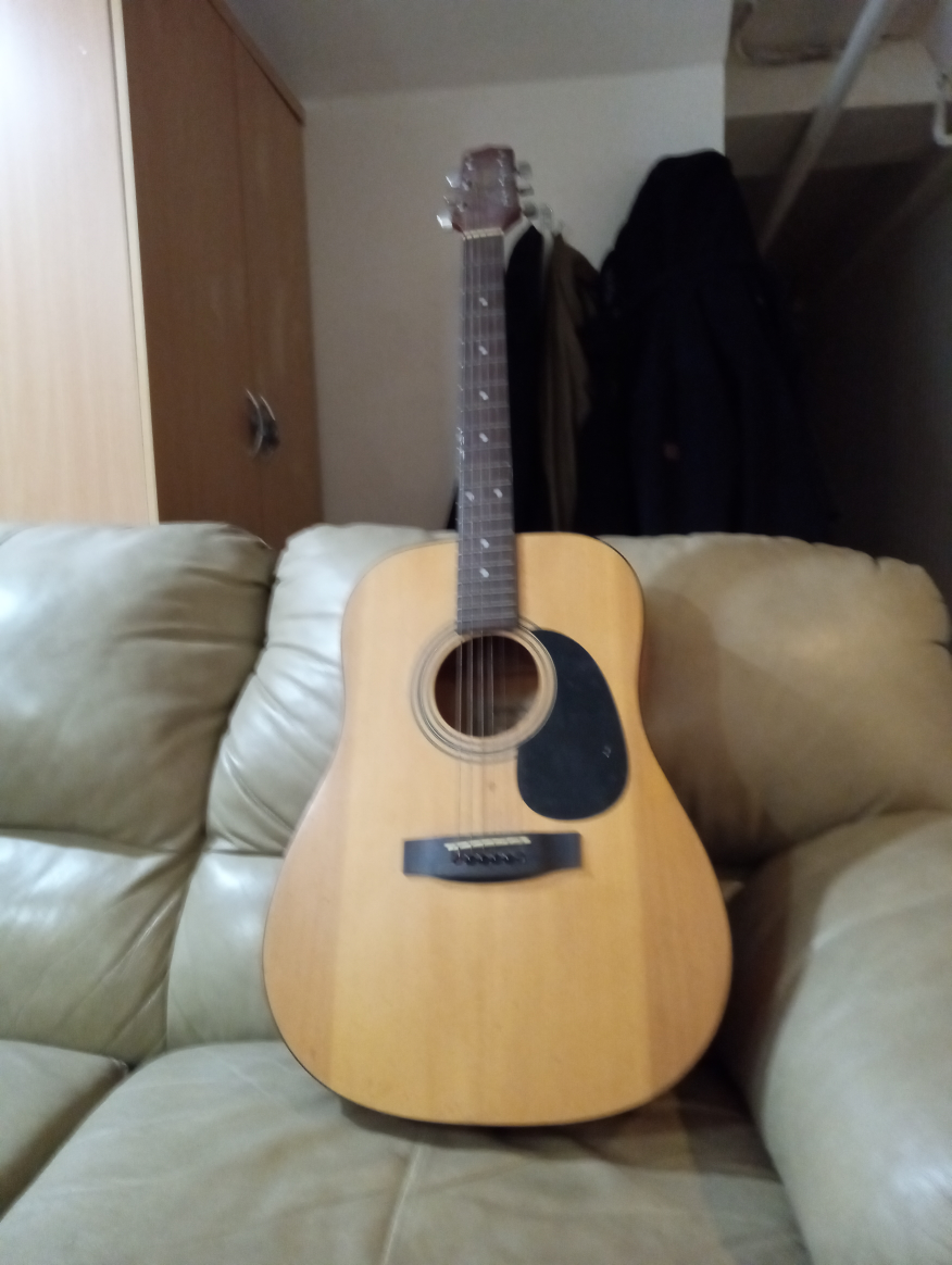 Jasmine S-35 Acoustic Guitar