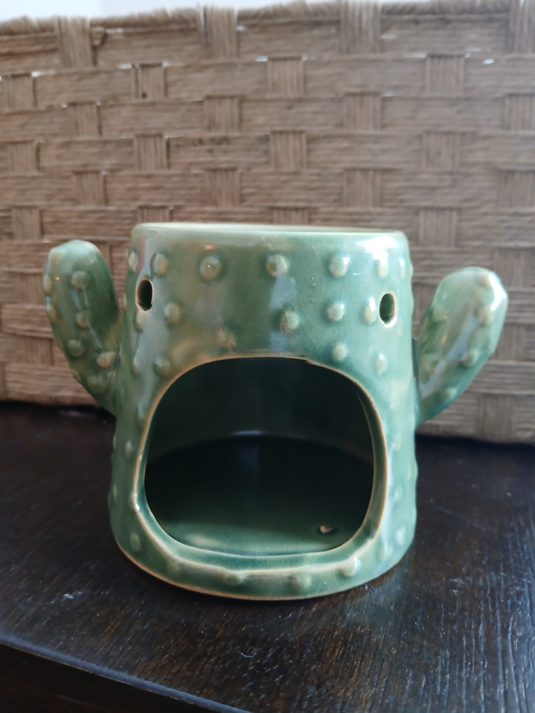 Cactus Wax Warmer