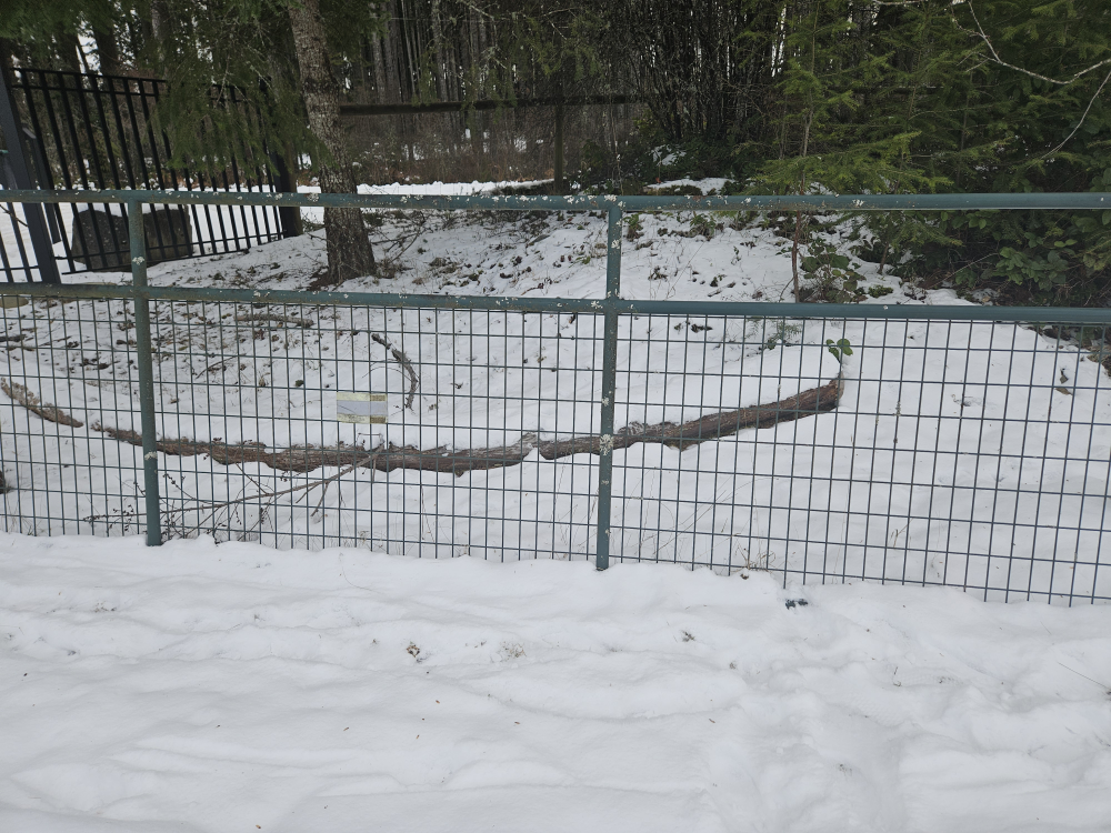 Metal wire fence section