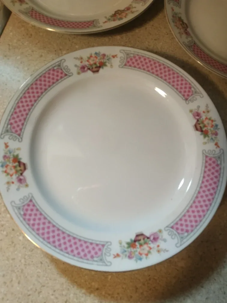 Set of 4 porcelain dinner plates 🏈 image indicator(3)