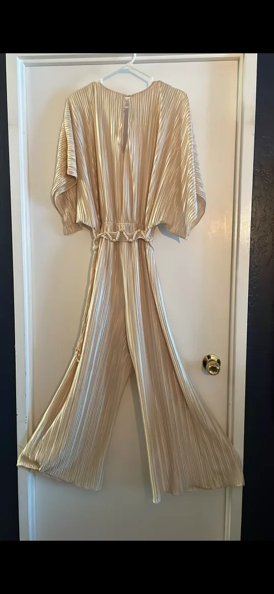 Champagne Gold Pleated Jumpsuit thumbnail