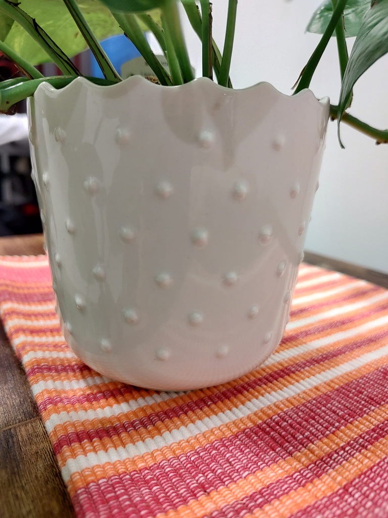 Natural Pothos Plant in White Pot - photo 3