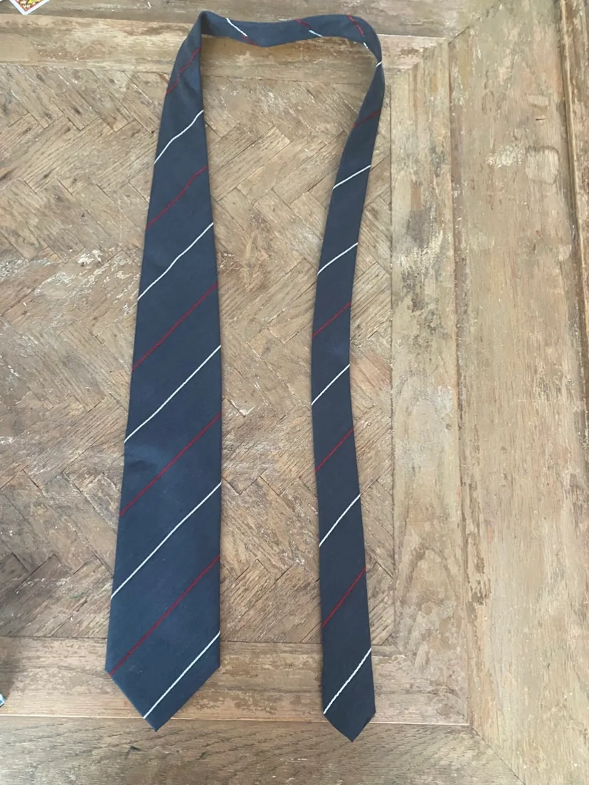 Ermenegildo Zegna Men's Silk & Wool Tie image indicator(4)