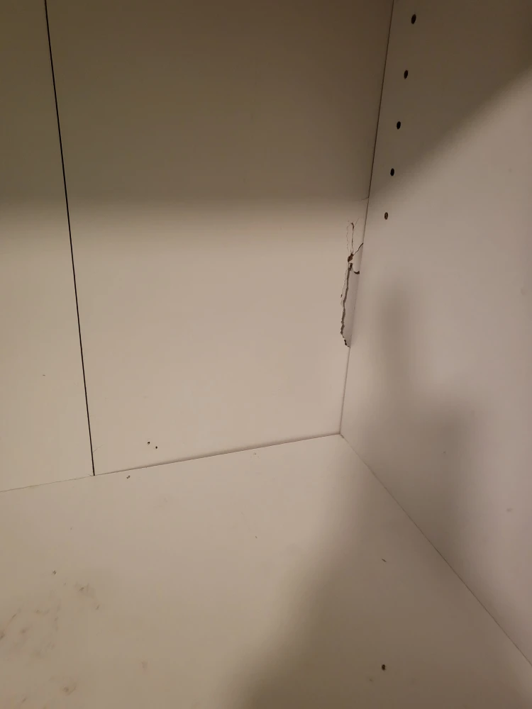 White Bookcase (S)- FREE - photo 5