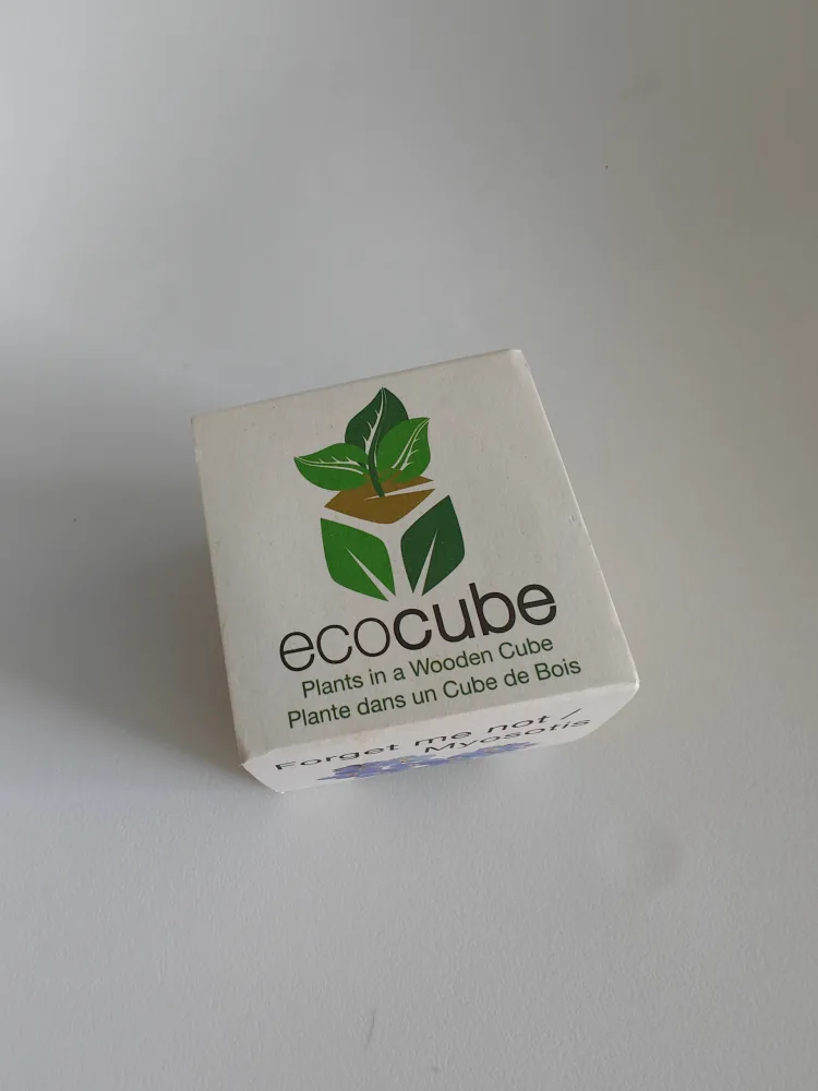 Ecocube Forget Me Not Seeds 🧡 image indicator(2)