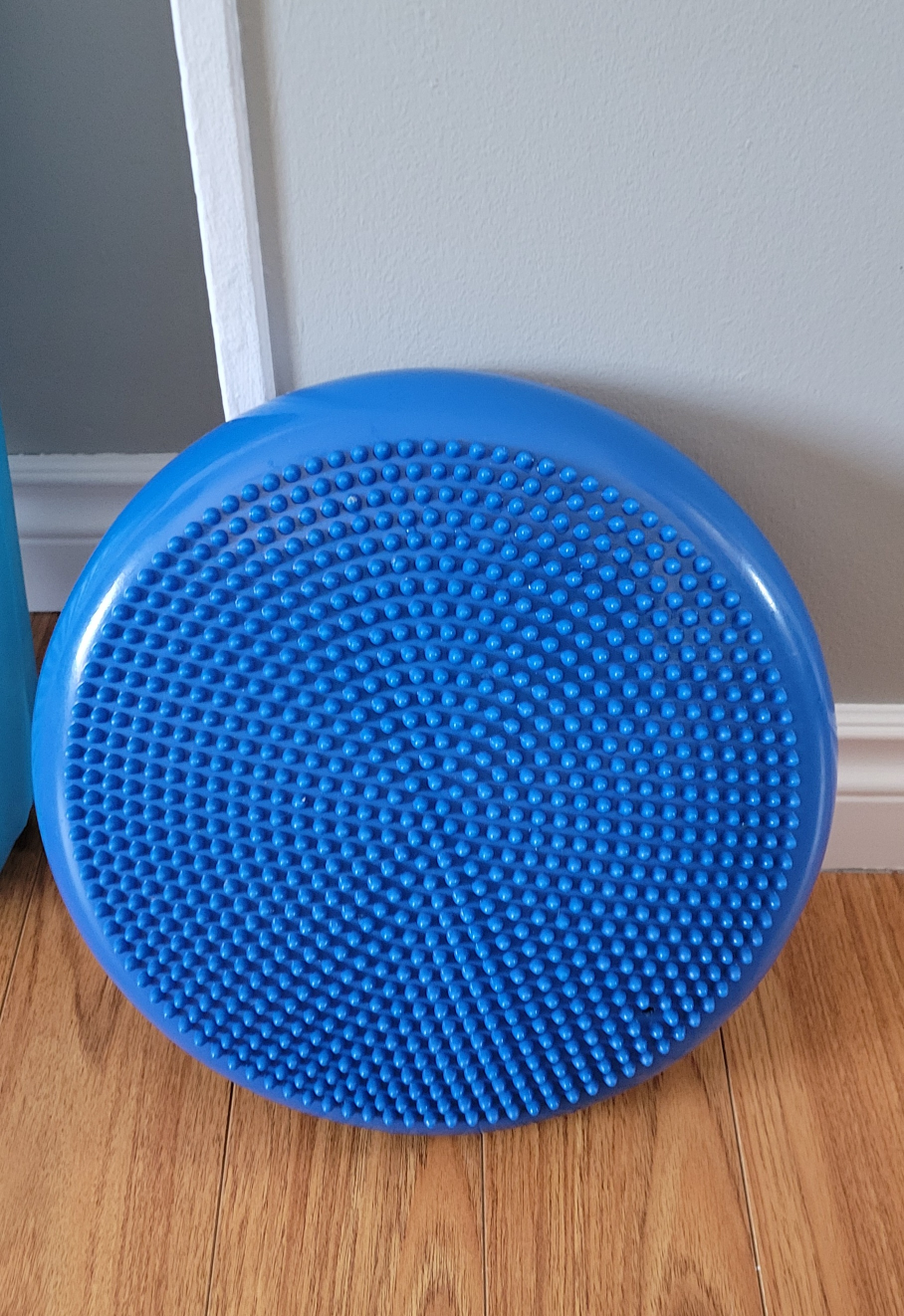 Balance Board and Wobble Cushion Set - photo 4