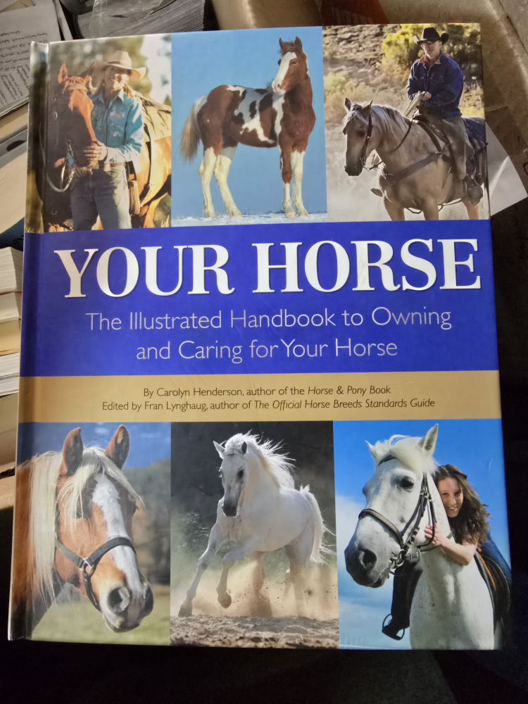 Your Horse
