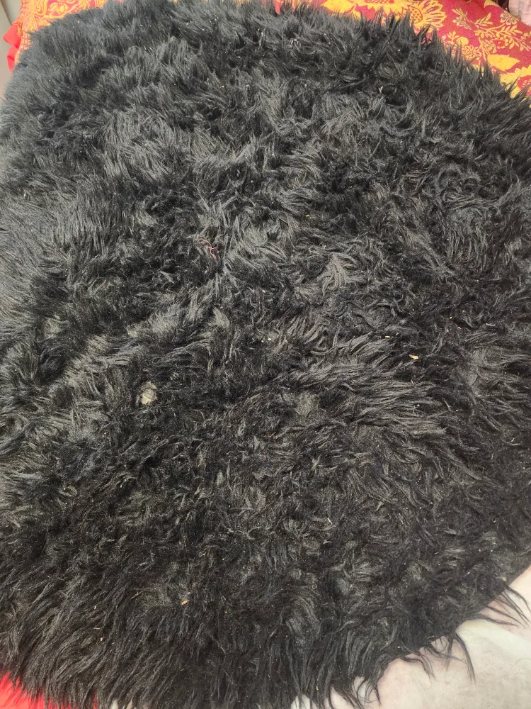 Black Fluffy Round Rug image indicator(2)