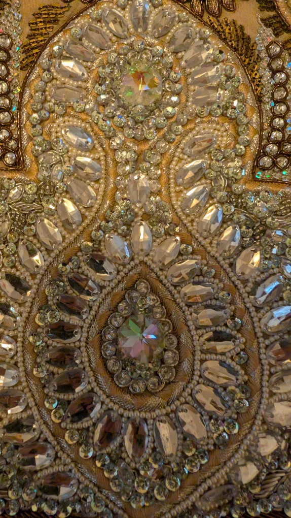 Beaded and Embellished Kameez image indicator(3)