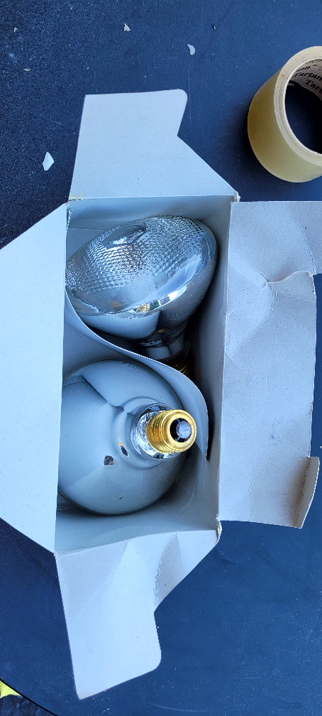 Two New PAR38 Halogen Bulbs