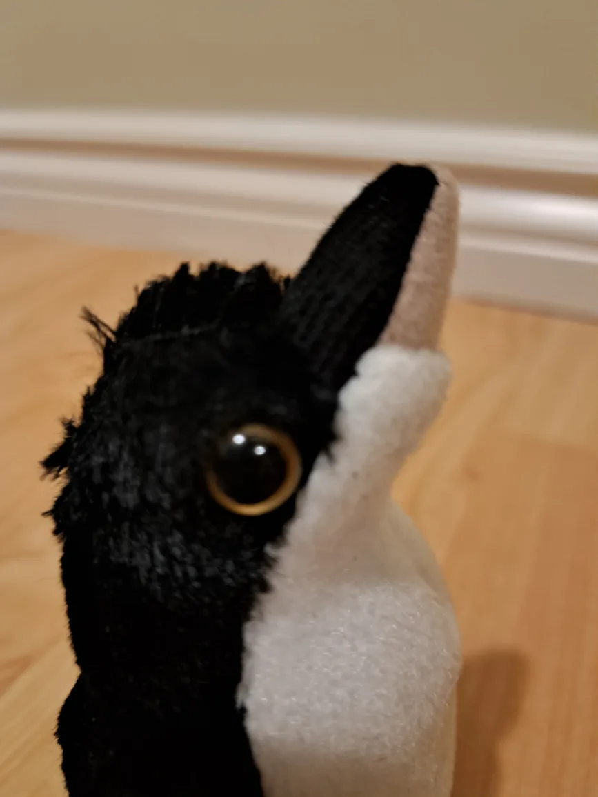 4.5" Little Penguin Plush Toy image indicator(5)