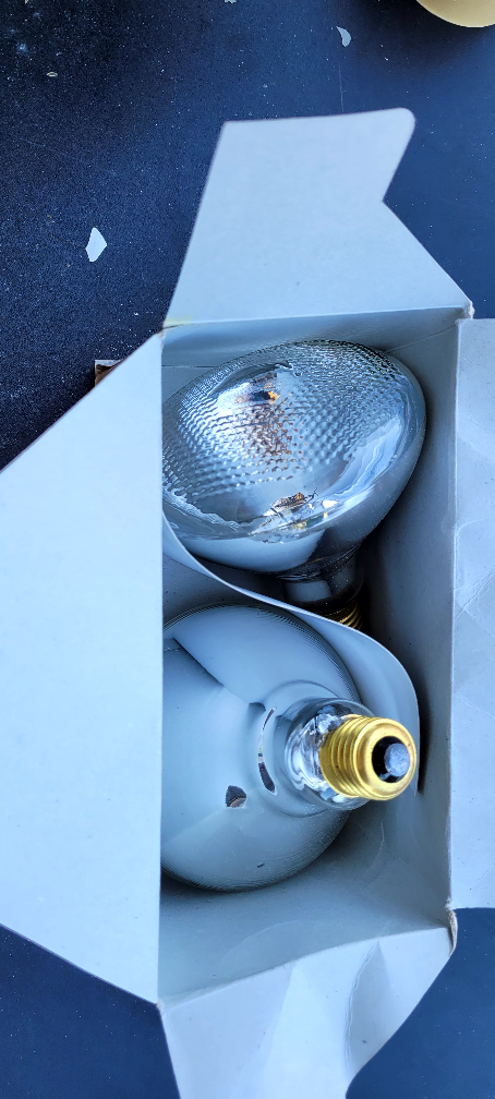 Two New PAR38 Halogen Bulbs - photo 2