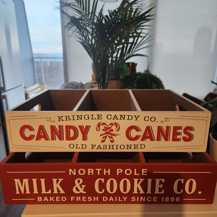 🎄2 Xmas Boxes + FREE Plant