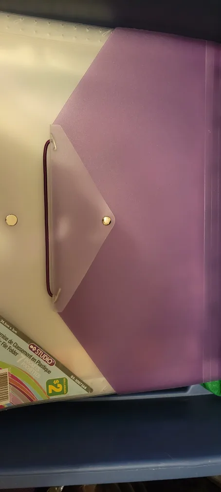 Studio Presentation Binder & Portfolio #freecycle image indicator(2)