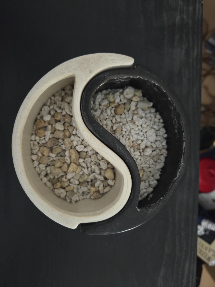 Yin Yang Planter - photo 2