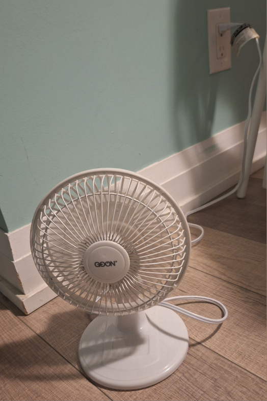 Goon 6" Desk Fan - White