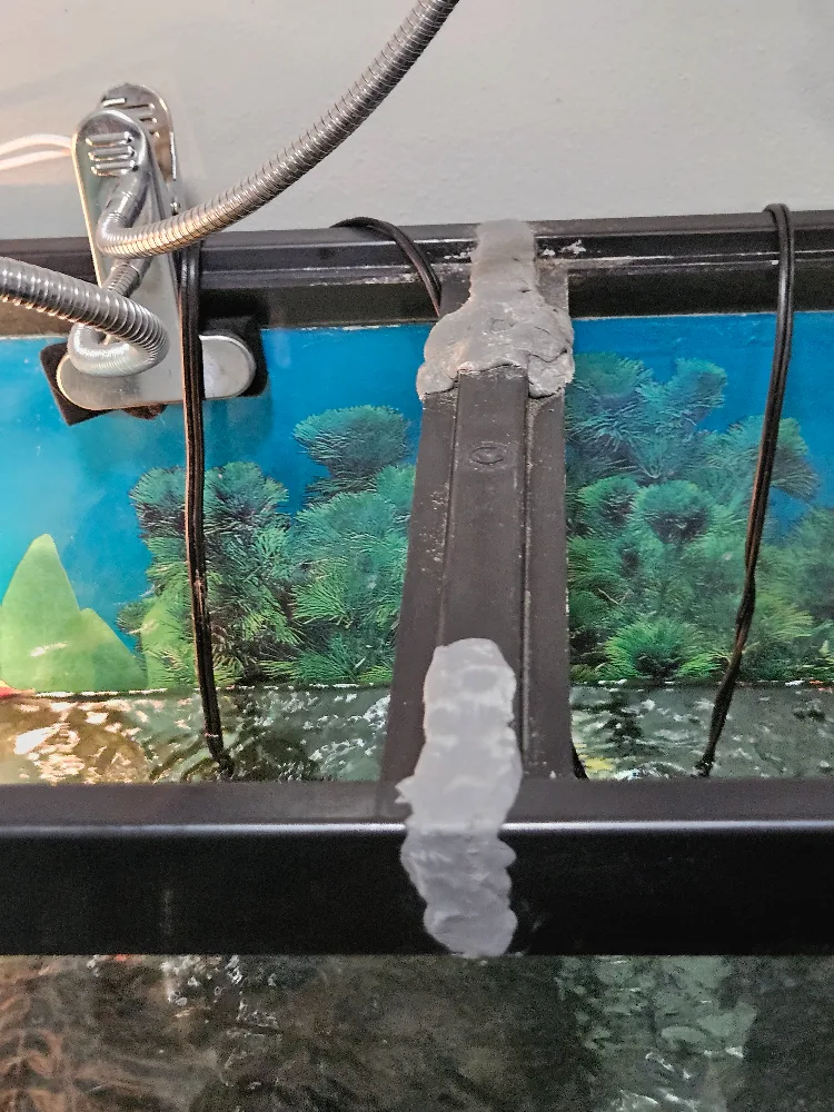 Large Aquarium with Stand image indicator(2)