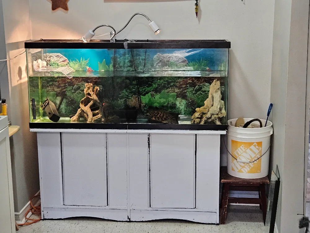 Large Aquarium with Stand image indicator(3)