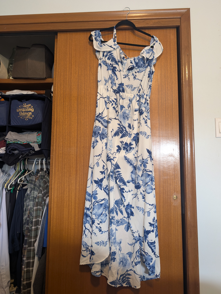Bridal Shower Blue and White Floral Maxi Dress